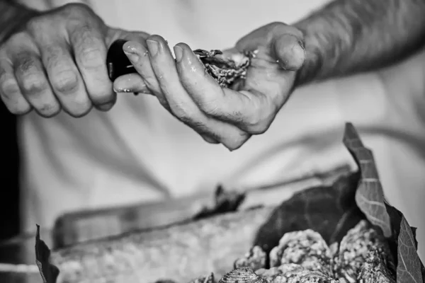 Catering-Per-Te-Piatti432