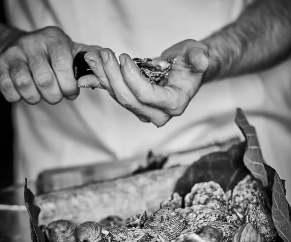 Catering-Per-Te-Piatti432