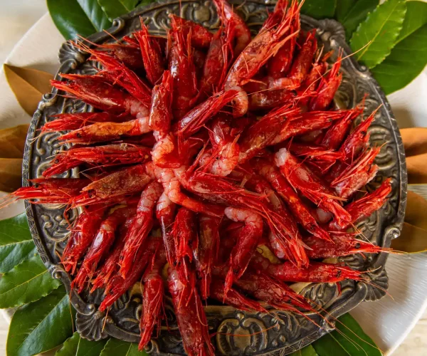 Catering-Per-Te-Piatti439