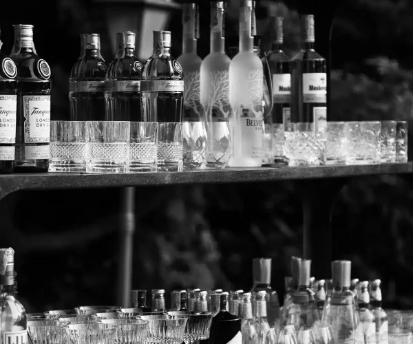 Catering-Per-Te-Piatti441