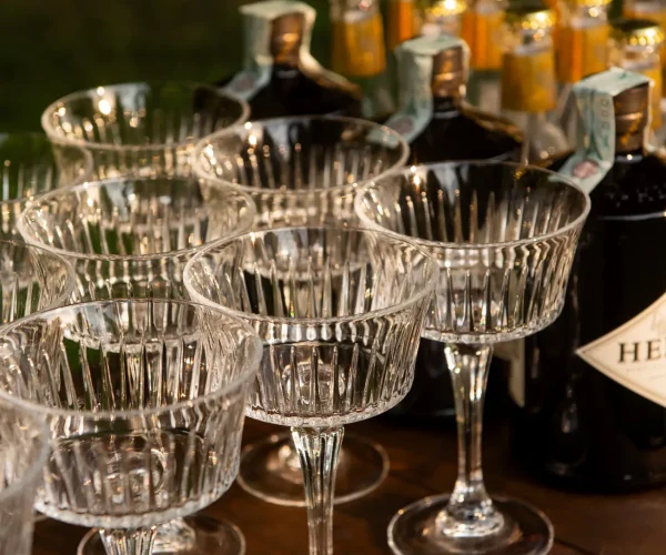 catering-per-te-piatti443